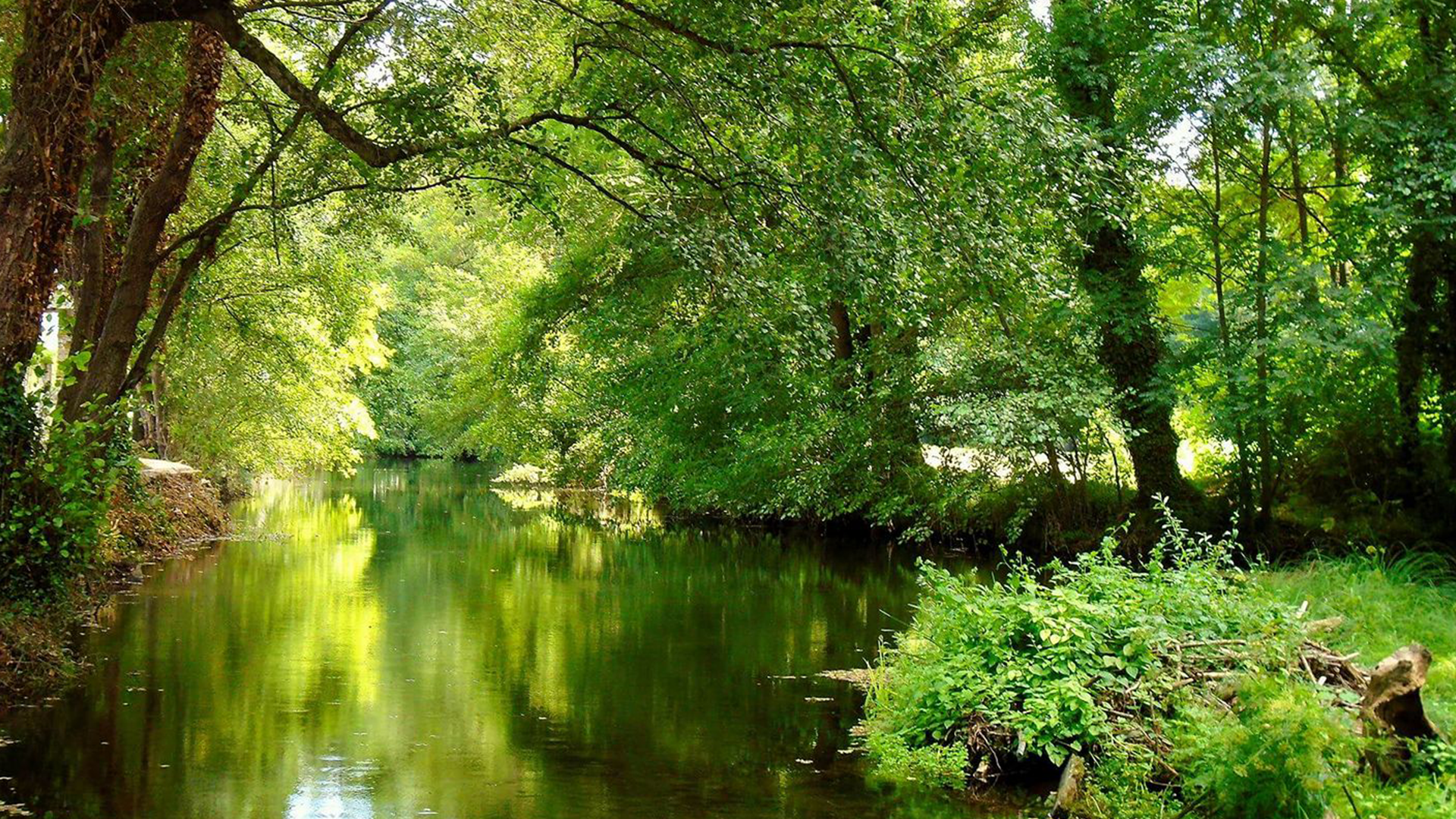 Ruta das Aceñas en Sarria