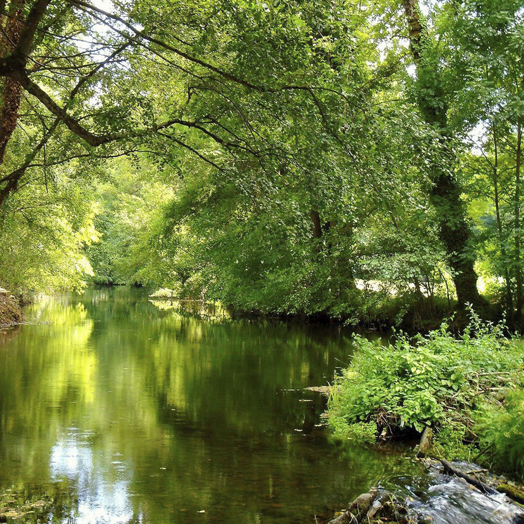 Ruta das Aceñas en Sarria